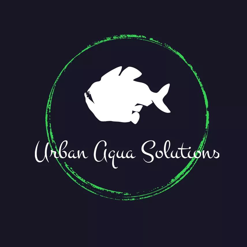 Urban Aqua Solutions | 8 Shelly Ave, Boronia VIC 3155, Australia | Phone: 0413 710 789