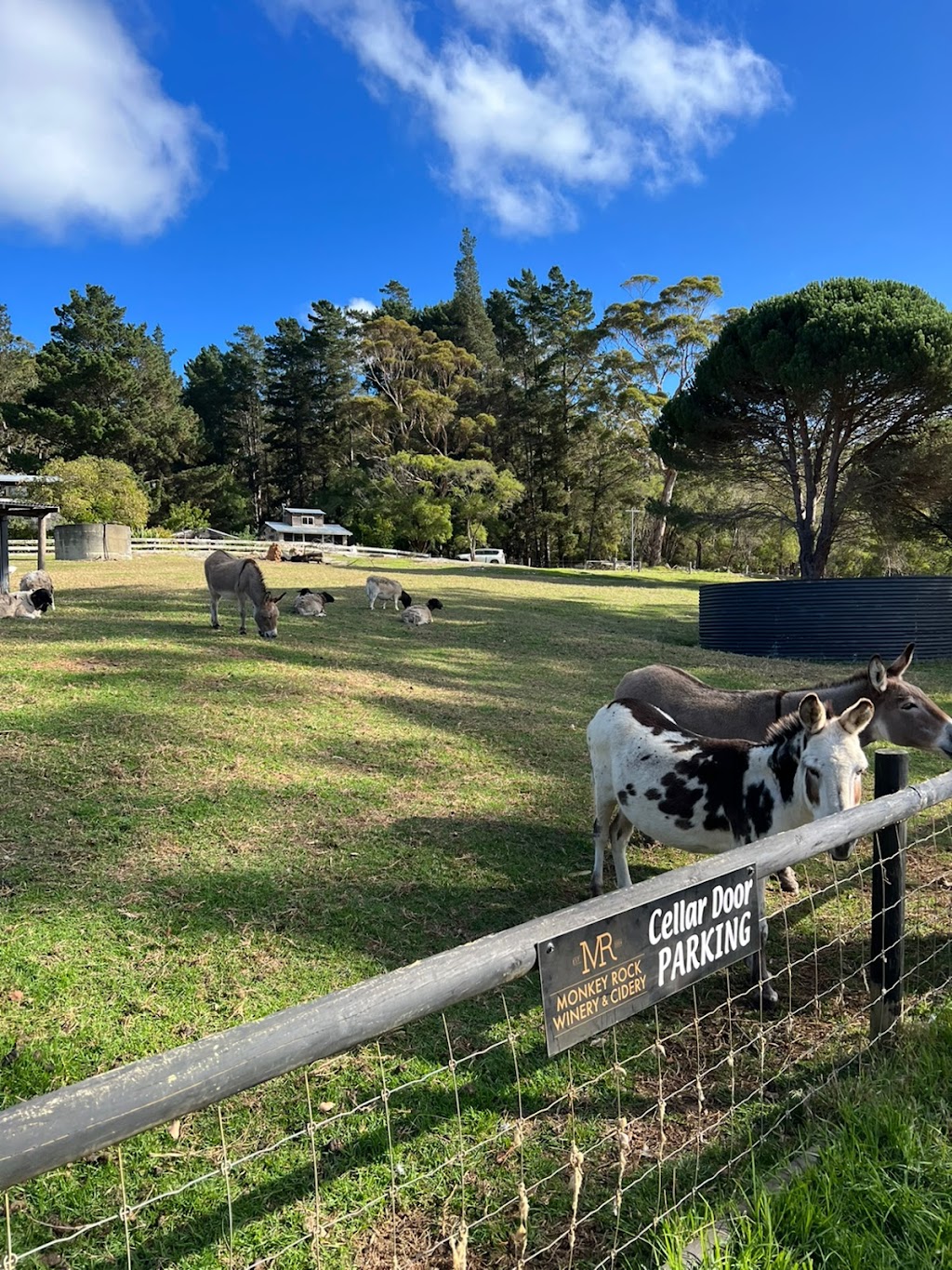 Monkey Rock Winery & Cider | bar | 107 Wentworth Rd, Ocean Beach WA 6333, Australia | 0400772962 OR +61 400 772 962