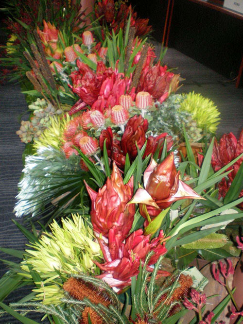 Flax Flower | 2/128 Greenoaks Dr, Coolum Beach QLD 4573, Australia | Phone: (07) 5446 3052