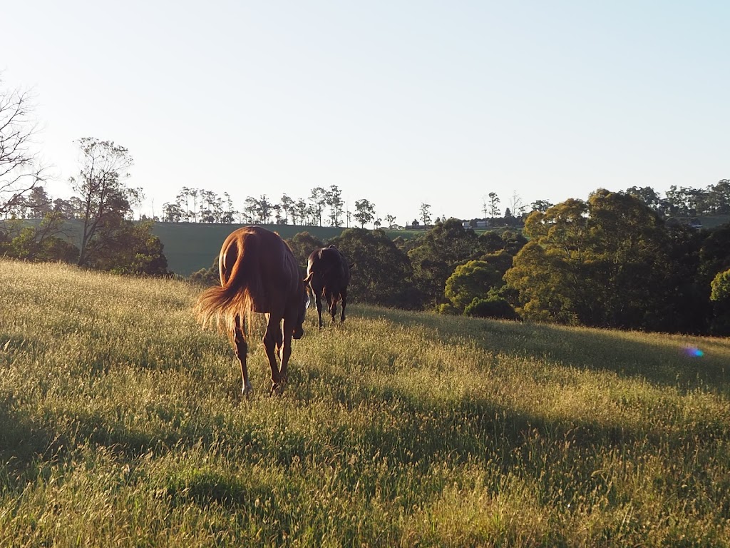 Edenhope Integrated Psychotherapy | 245 Beenak Rd, Gembrook VIC 3783, Australia | Phone: 0412 326 431