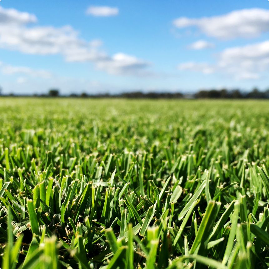Lilydale Instant Lawn | Pakenham | 790 McDonalds Drain Rd E, Pakenham South VIC 3810, Australia | Phone: (03) 9122 8718
