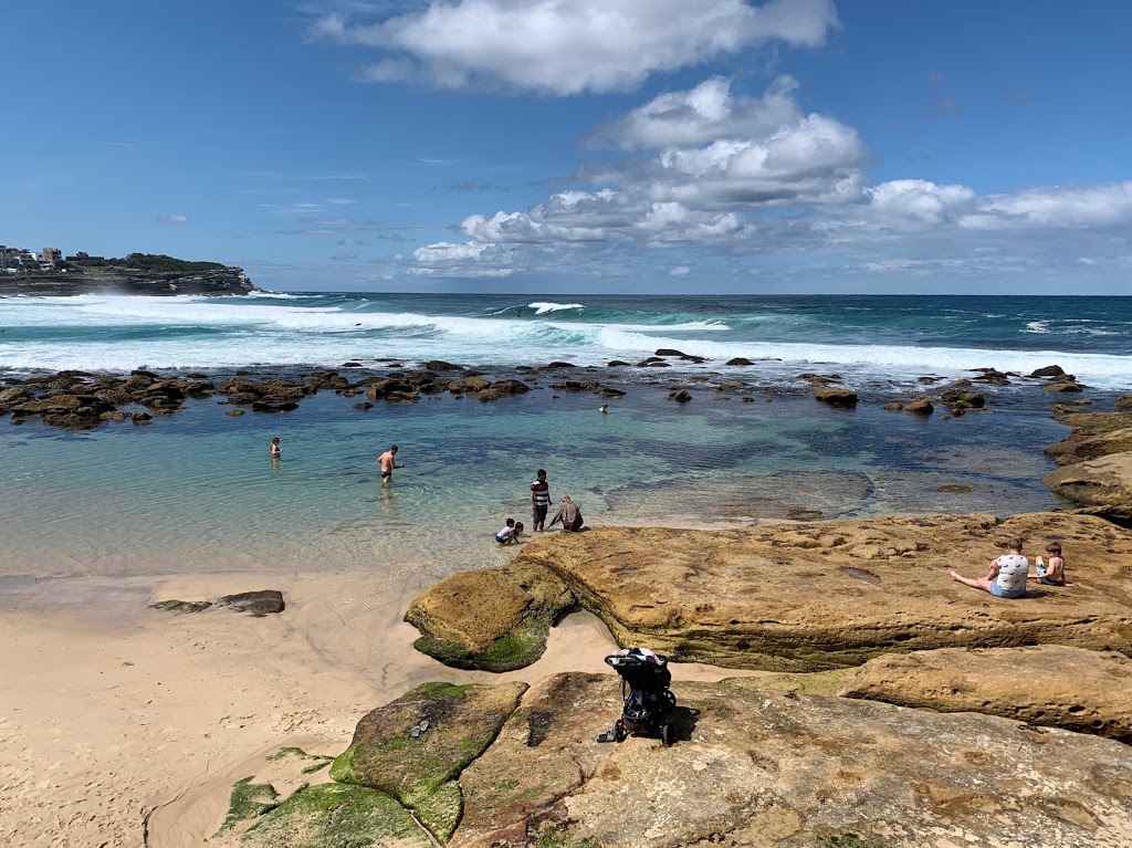 Bondi to Bronte Ocean Swim | 502 Bronte Rd, Bronte NSW 2024, Australia | Phone: (02) 9389 6500