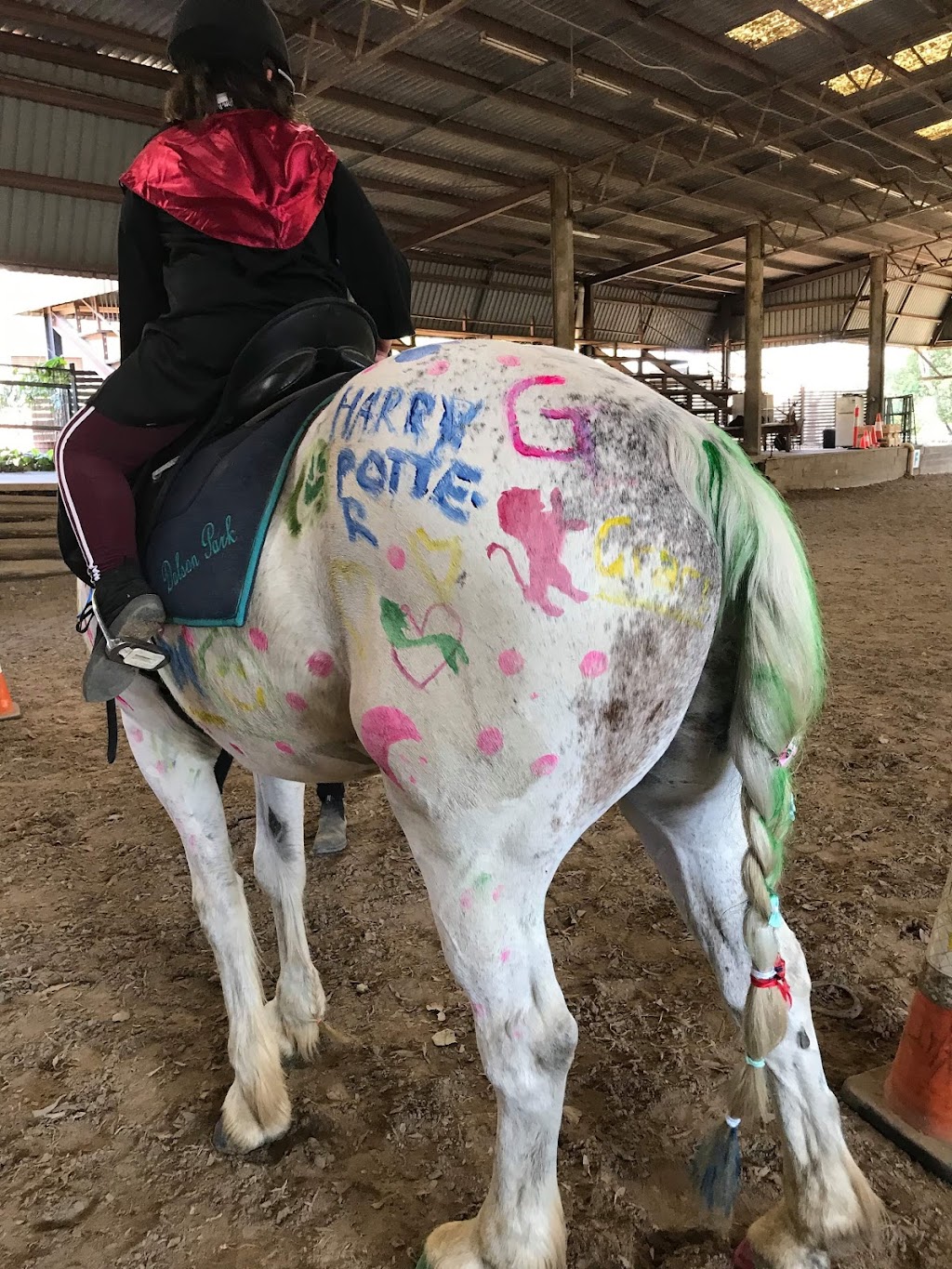 Dalson Park Indoor Equestrian Centre | 63 Nujooloo Rd, Slacks Creek QLD 4127, Australia | Phone: 0448 034 514