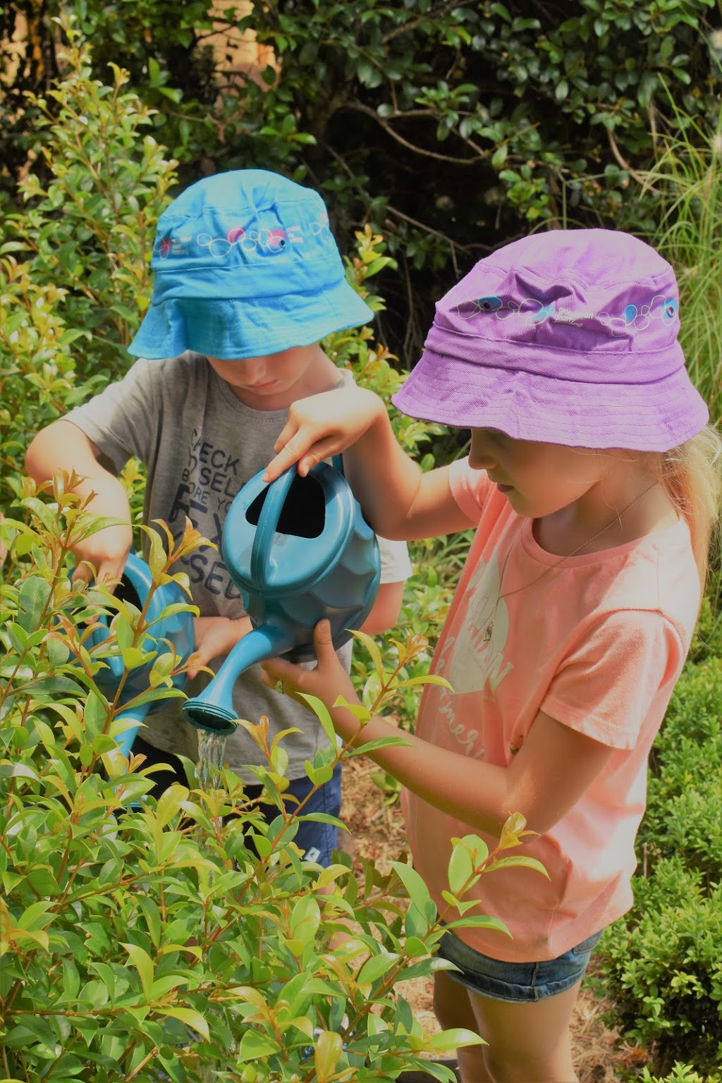 Goodstart Early Learning Dapto | school | 17 Parkside Dr, Dapto NSW 2530, Australia | 1800222543 OR +61 1800 222 543