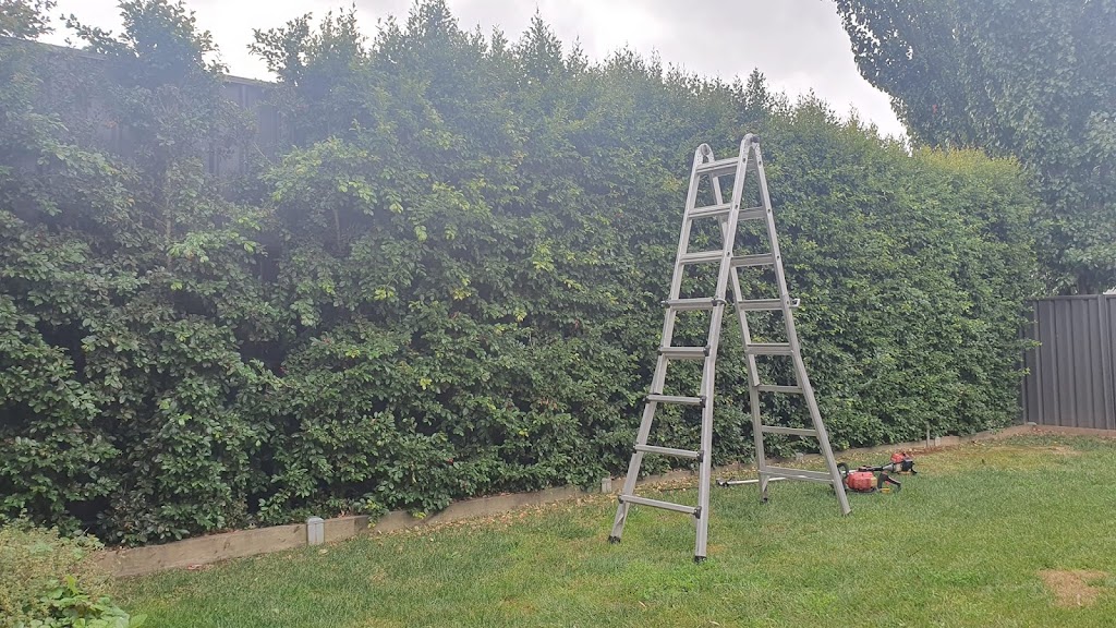 Wise Mowing and More | 14 Yarra Ct, Eaglehawk VIC 3556, Australia | Phone: 0448 988 438 Wise Mowing and More | 14 Yarra Ct, Eaglehawk VIC 3556, Australia | Phone: 0448 988 438