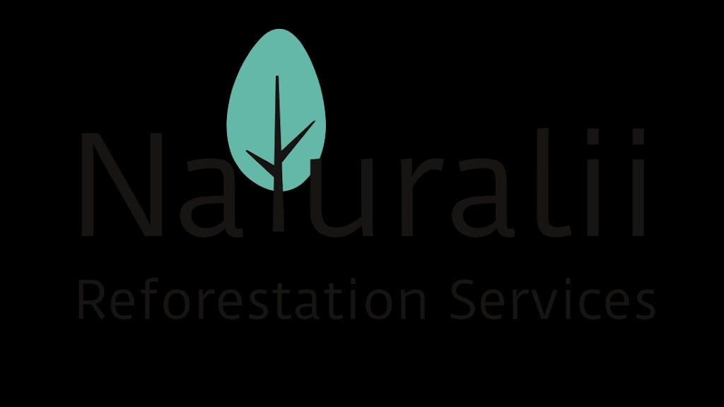 One World Reforestation Services |  | 27 Mill St, Kyneton VIC 3444, Australia | 0460812012 OR +61 460 812 012