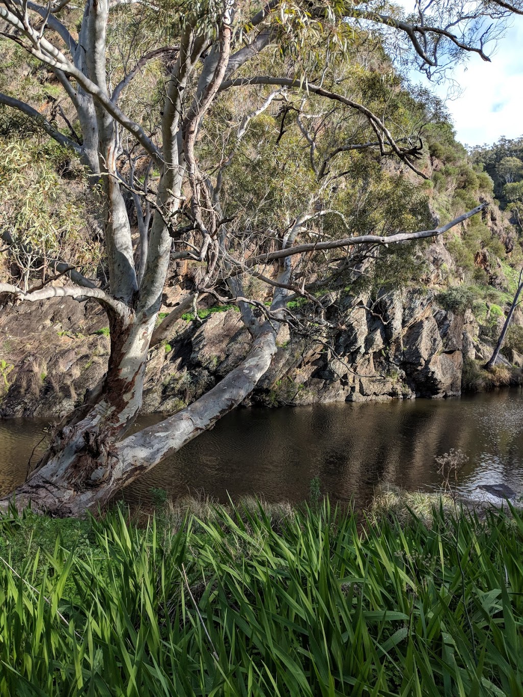 Onkaparinga River National Park | park | Port Noarlunga South SA 5167, Australia | 0885503400 OR +61 8 8550 3400