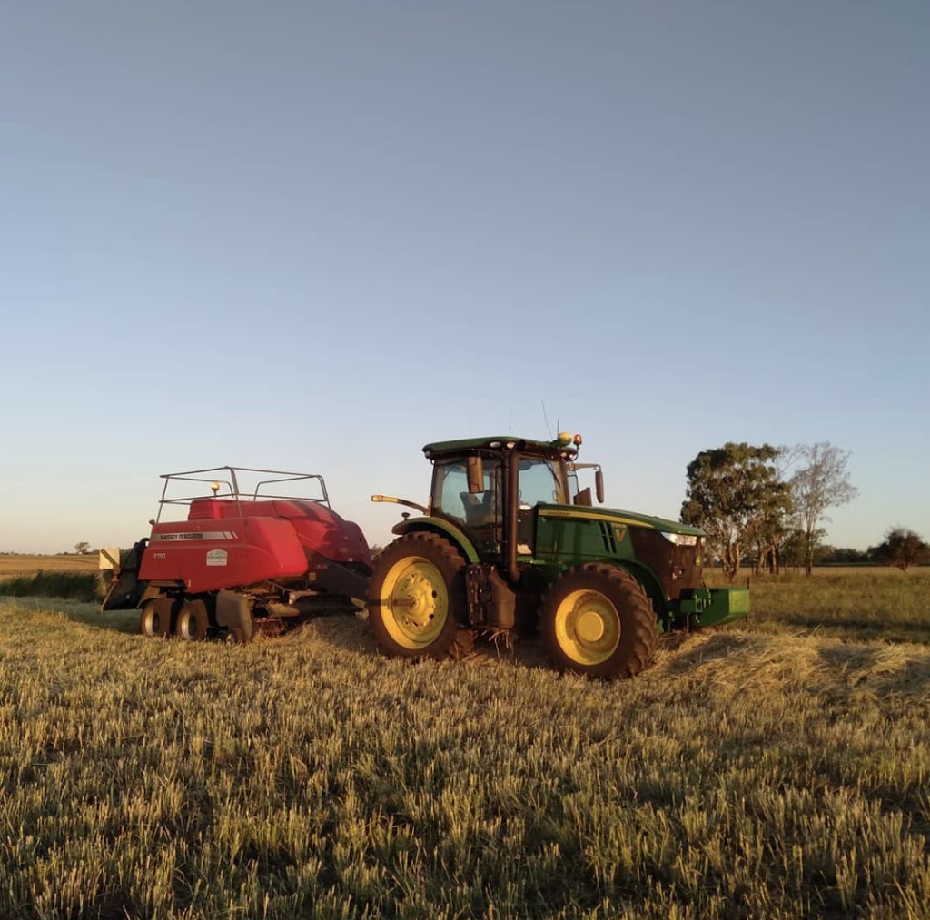 Huth Farming & Contracting | food | 340 McKenzie Rd, Oakey QLD 4401, Australia | 0457299142 OR +61 457 299 142