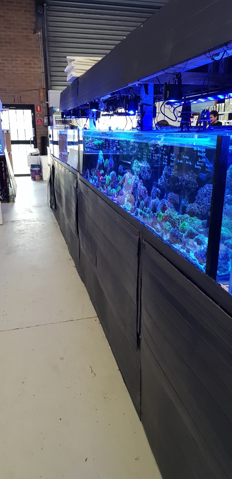Williamstown Aquarium | pet store | 368 Kororoit Creek Rd, Williamstown North VIC 3016, Australia | 0393998883 OR +61 3 9399 8883