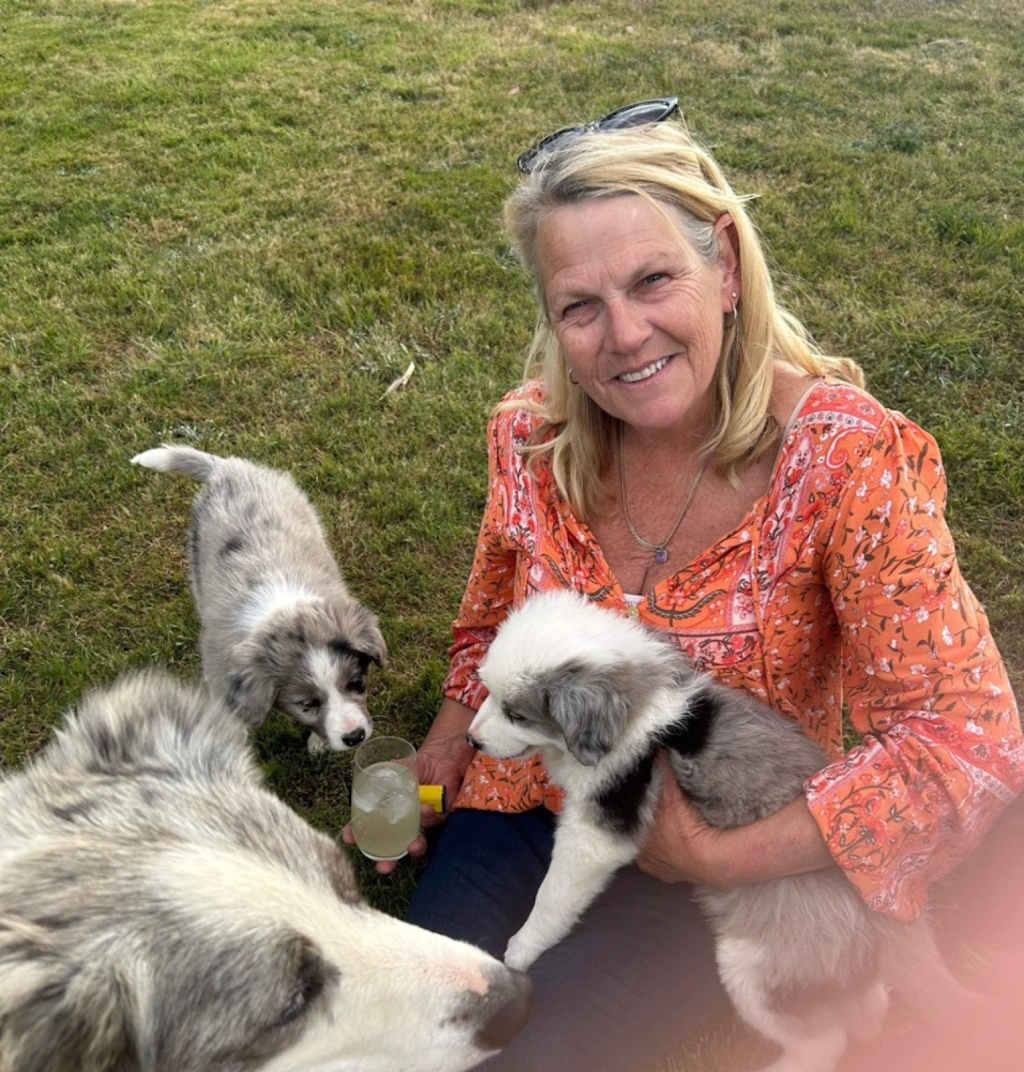 Banaby Park Border Collies | 1329 Bannaby Rd, Bannaby NSW 2580, Australia | Phone: 0418 138 641