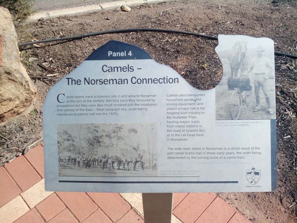 Norseman Visitor Centre | 78 Prinsep St, Norseman WA 6443, Australia | Phone: (08) 9039 0040