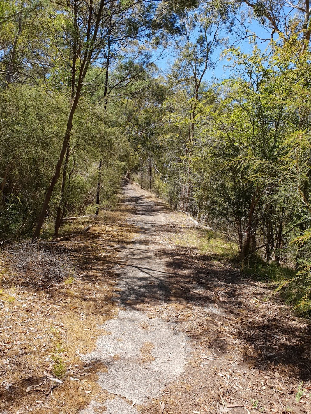Templestowe Hill Climb | 1 The Pkwy, Templestowe VIC 3106, Australia