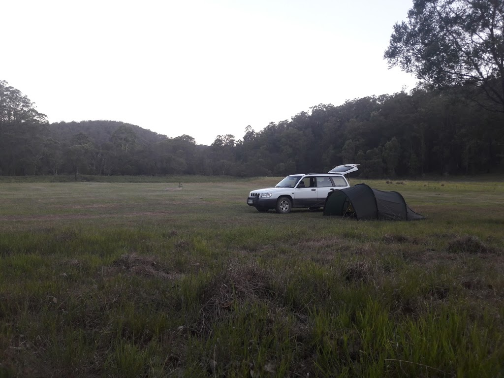 Blue Gums campground | Big Yengo Loop Trail, Big Yengo NSW 2330, Australia | Phone: 1300 072 757