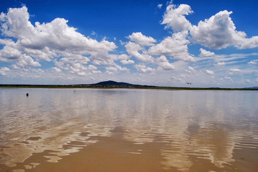 Lake Cowal Conservation Centre | Blow Clear Rd, Lake Cowal NSW 2671, Australia | Phone: 0418 370 927