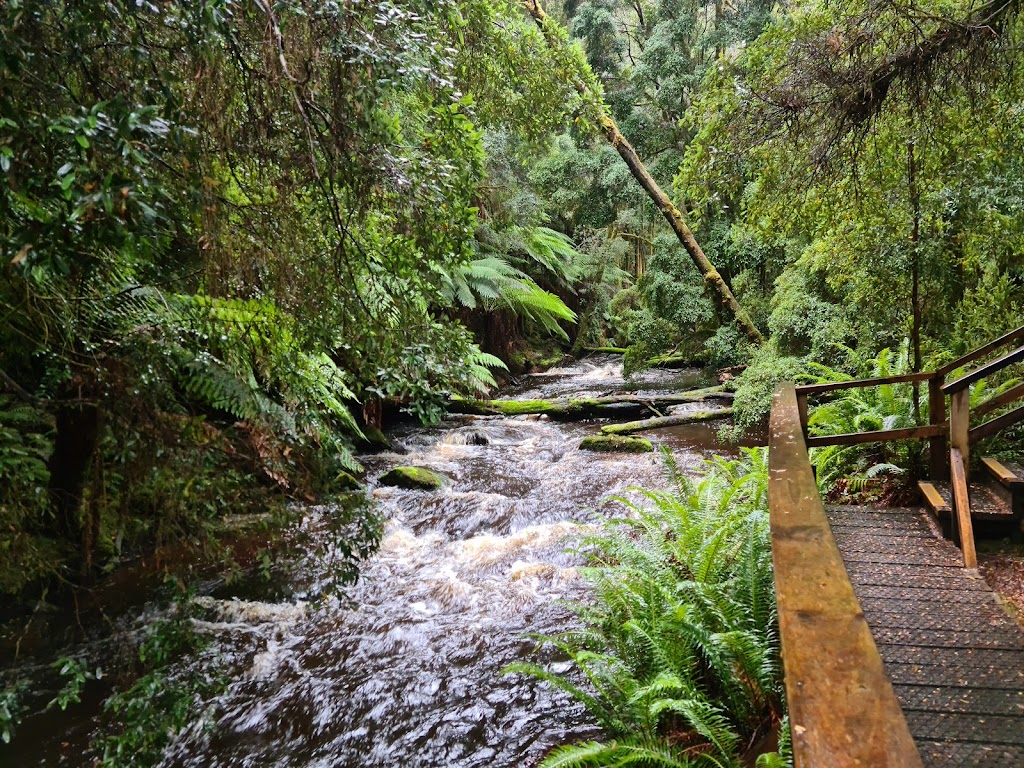 Nelson Falls | tourist attraction | Lyell Hwy, Queenstown TAS 7001, Australia | 1300827727 OR +61 1300 827 727