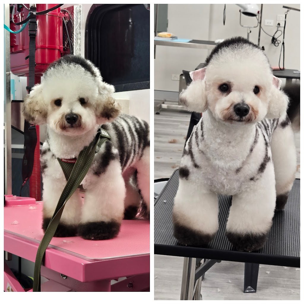 Mountain Pawz | Behind The Antique Shop, 80 Great Western Hwy, Woodford NSW 2778, Australia | Phone: 0415 433 676