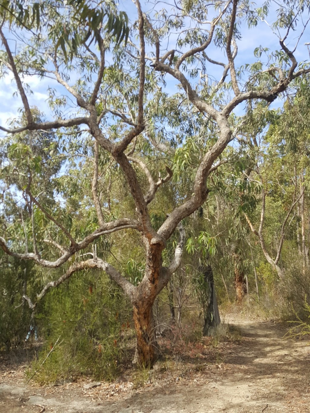 Point Loop Muogamarra Reserve | park | Point Loop, Cowan NSW 2081, Australia