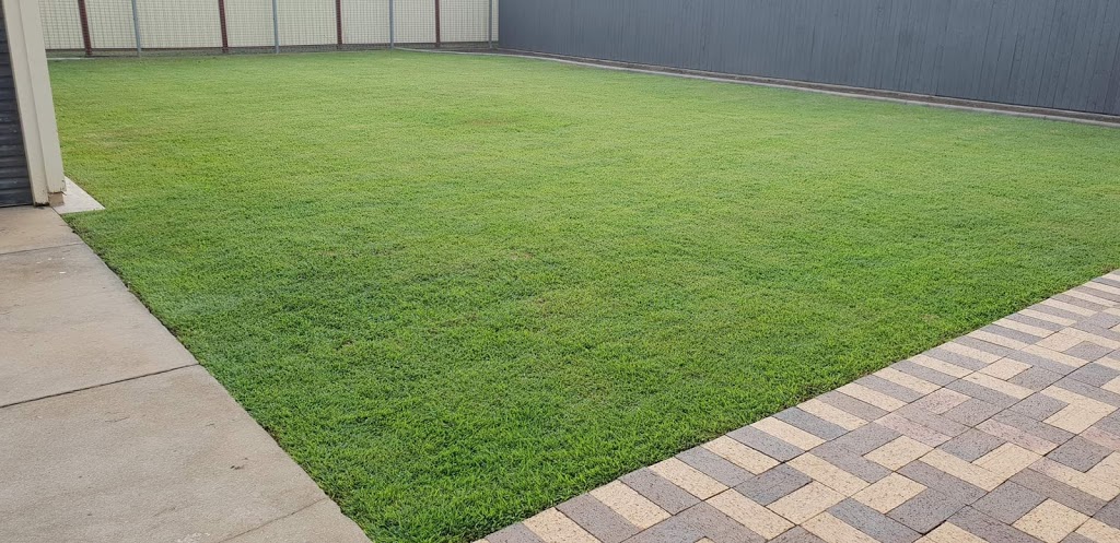 Premium Turf | 59 Kirchner Dr, Bundaberg QLD 4670, Australia | Phone: 1300 350 352