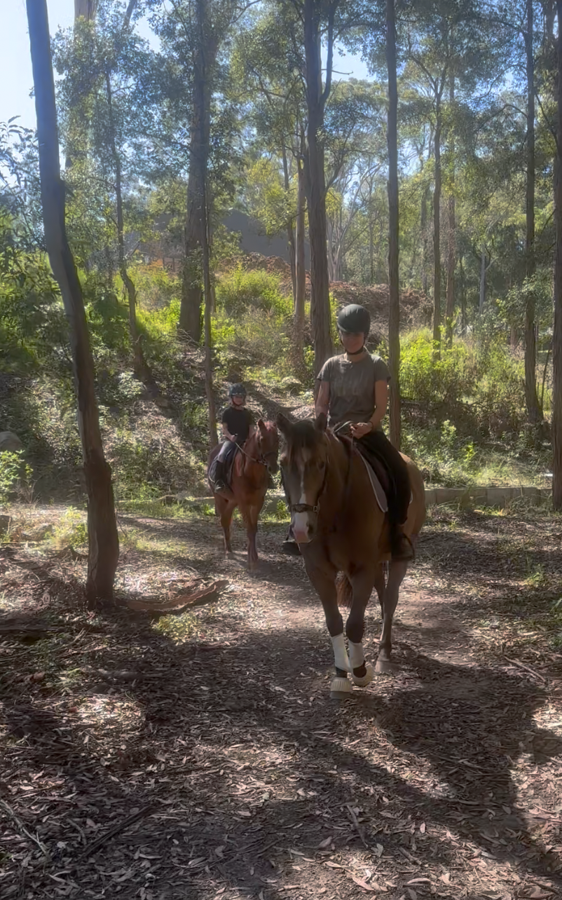 Ghostwood Equestrian Riding School | 10 Winnunga Rd, Dural NSW 2158, Australia | Phone: 0422 151 678