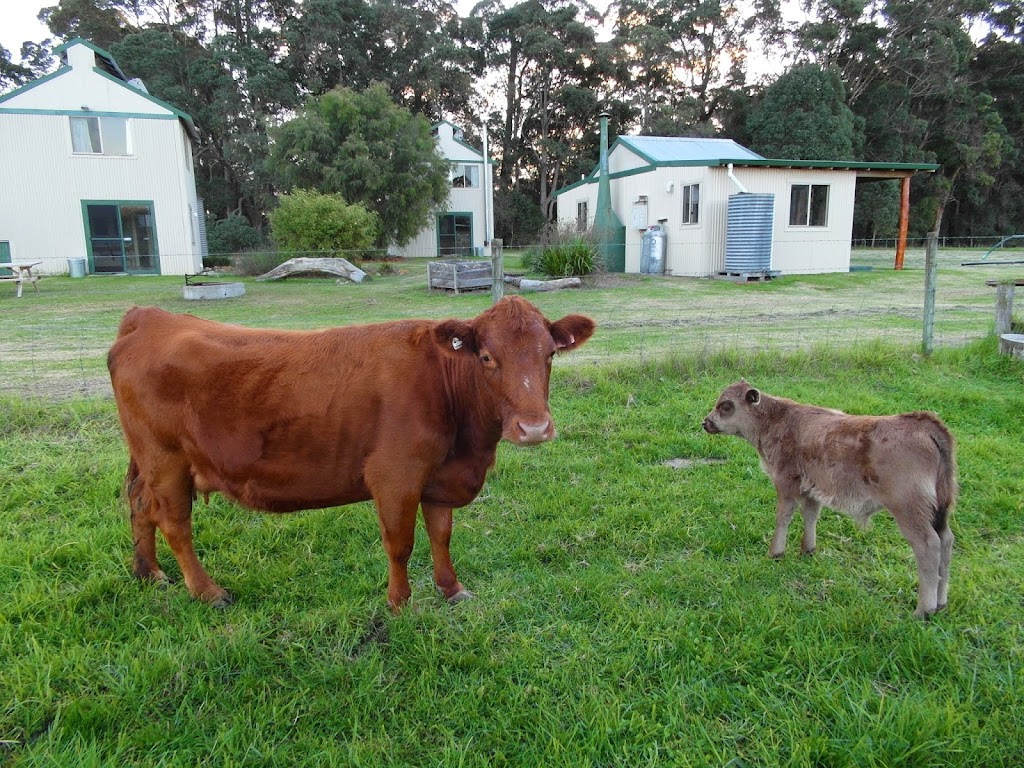 Watermark Kilns | 262 Karri Hill Rd, Northcliffe WA 6262, Australia | Phone: (08) 9776 7349