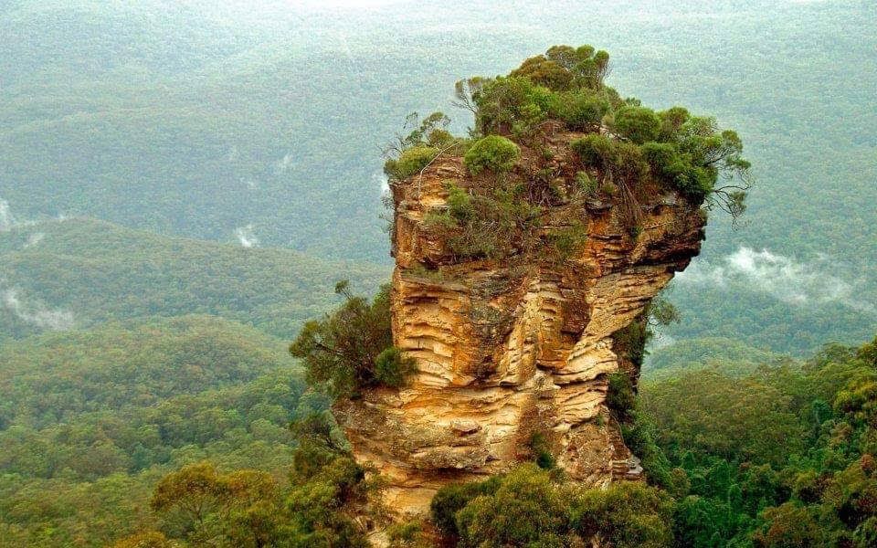 Nattai National Park | park | Wattle Ridge NSW 2575, Australia