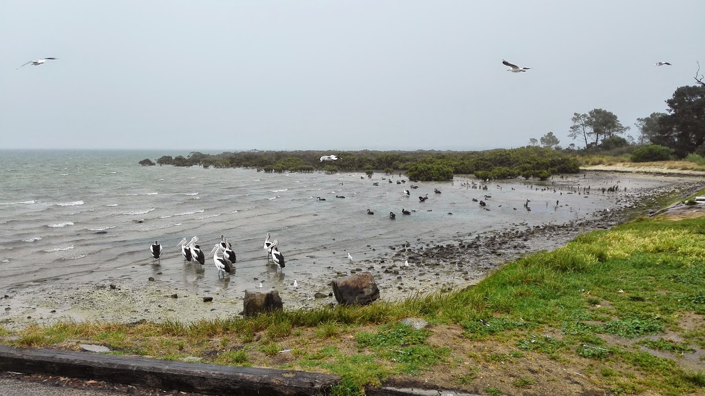 Stony Point Caravan Park | rv park | 1 Stony Point Rd, Crib Point VIC 3919, Australia | 0359839242 OR +61 3 5983 9242