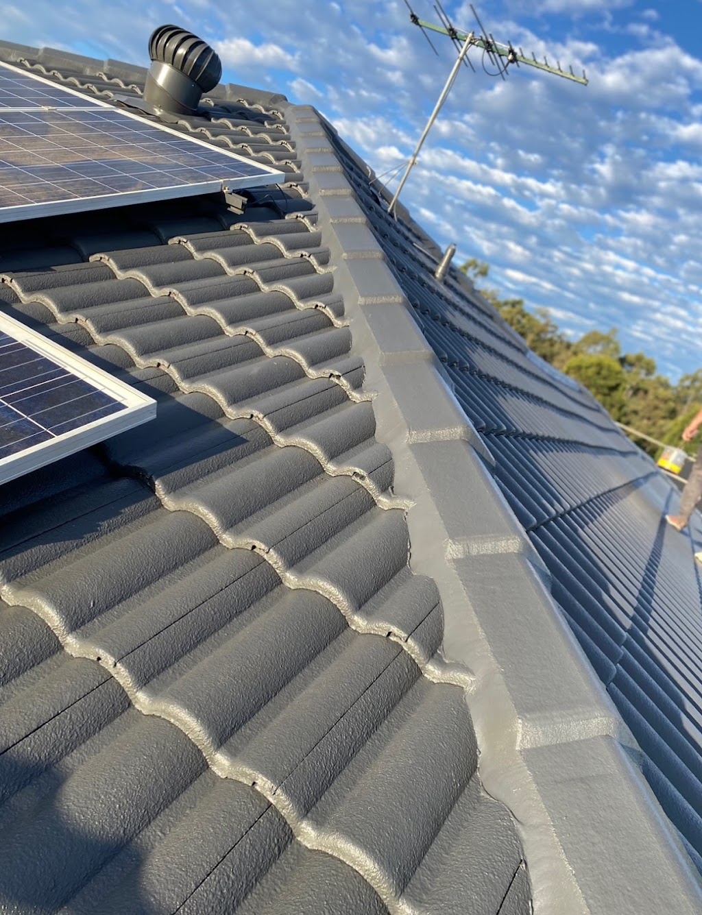 Rainbird Roof Restorations | 12 Stonehaven Pl, Narangba QLD 4504, Australia | Phone: 0424 238 025