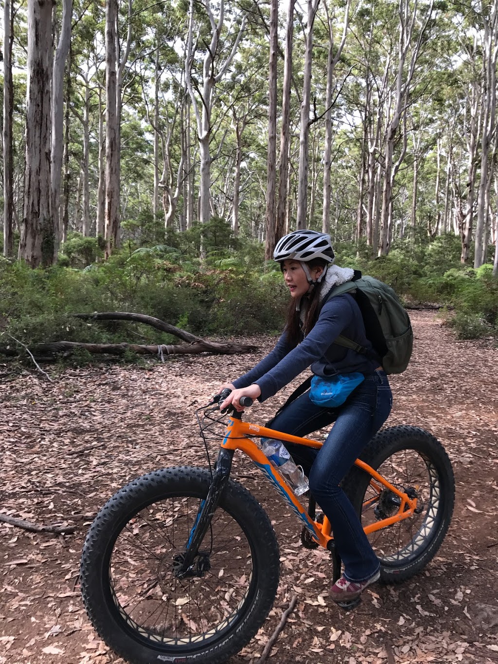 Margaret River Adventure - fat bikes | Caves Rd, Boranup WA 6285, Australia | Phone: 0418 808 993