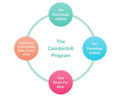 All About Calm Birth Education - Lea Bailey |  | 128 Isaacs Ln, Johns River NSW 2443, Australia | 0438978500 OR +61 438 978 500