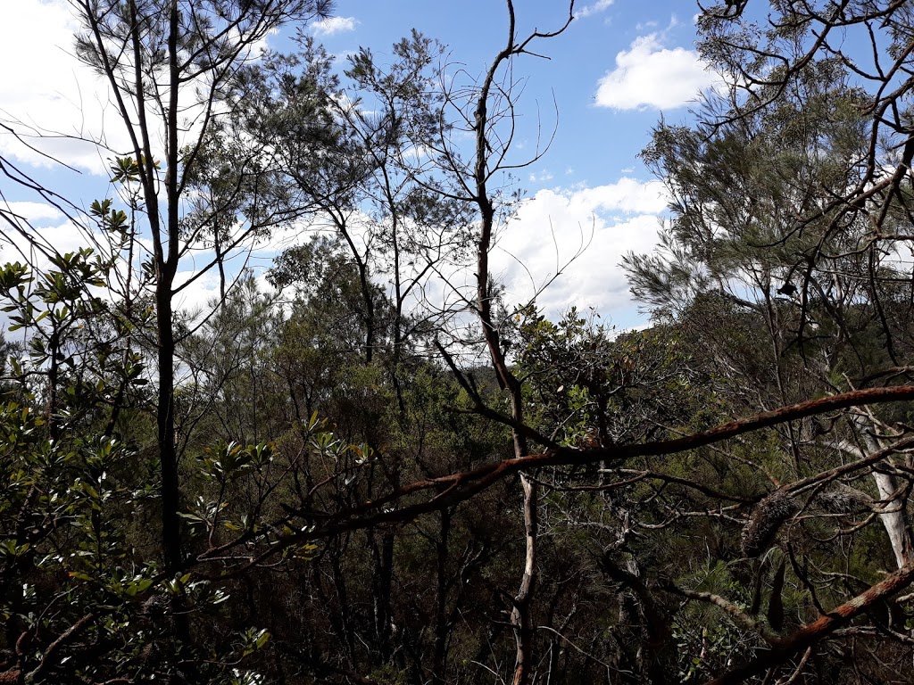 Mangrove Mountain Camp | lodging | 2154 Wisemans Ferry Rd, Mangrove Mountain NSW 2250, Australia