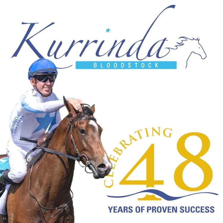 Kurrinda Bloodstock Syndications | 463 Milbrodale Rd, Fordwich NSW 2330, Australia | Phone: 1300 5877 4632