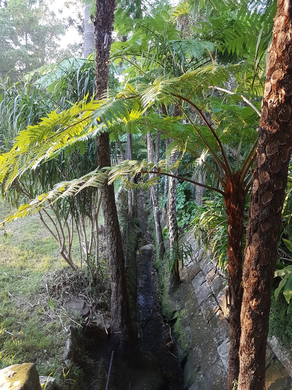 Kormeister and Leistunghund Rottweilers | 13 Francis St, ​SWANSEA HEADS NSW 2281, Australia | Phone: 0410 445 962