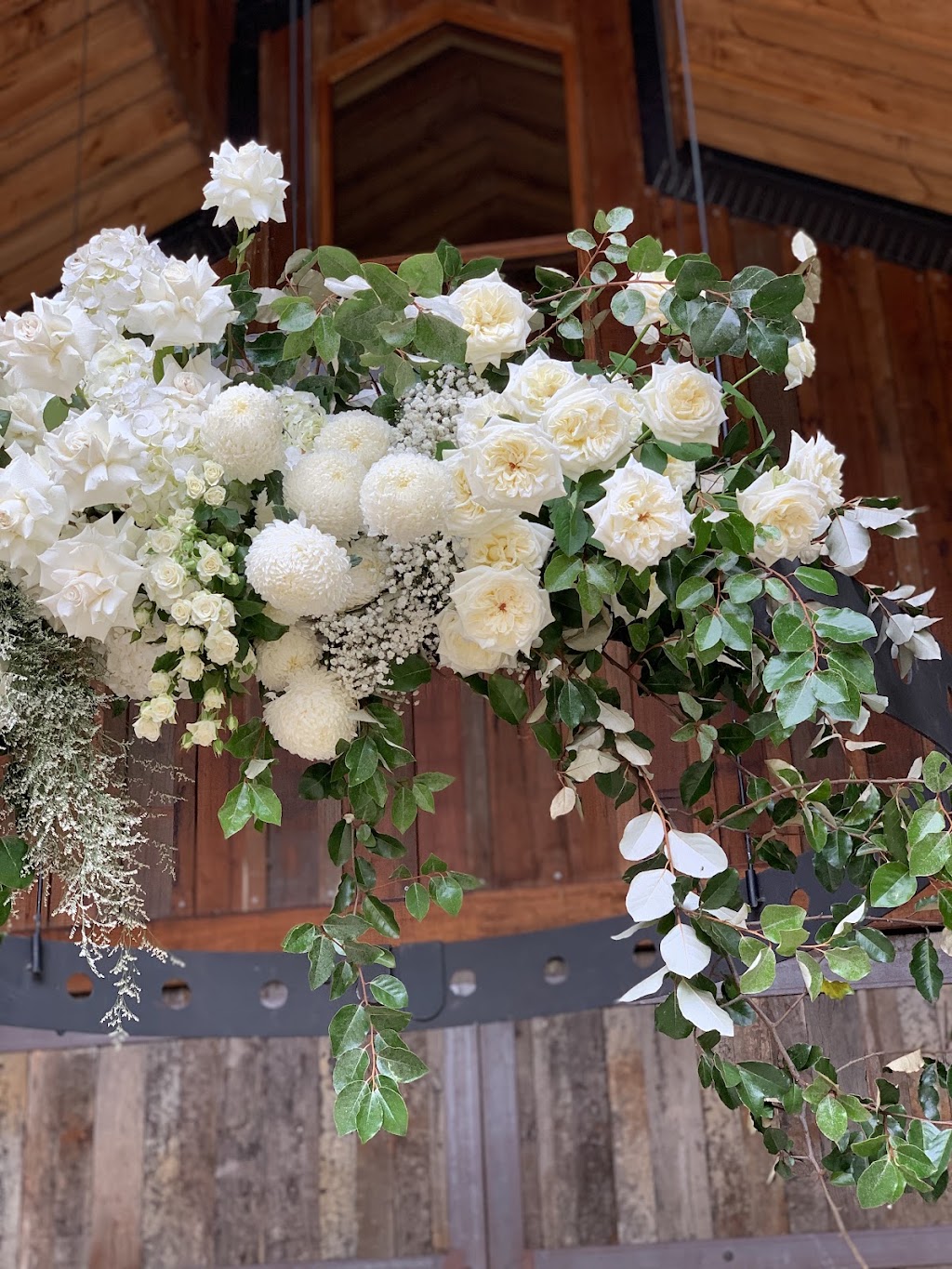 Honeysuckle Hermosa | Camden Rd, Douglas Park NSW 2569, Australia | Phone: 0468 558 382