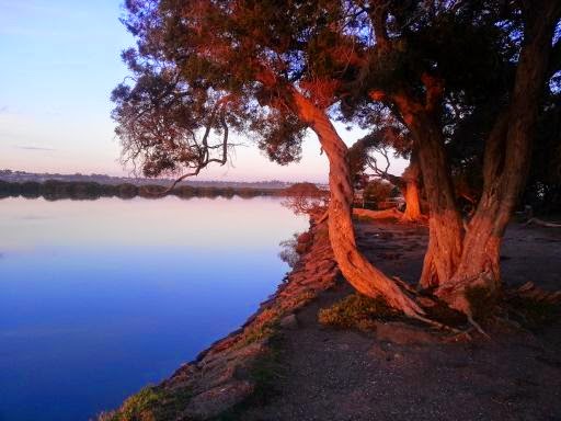 Nutrition For Mind & Body | 27 River Parade, Barwon Heads VIC 3227, Australia | Phone: (03) 9024 5464