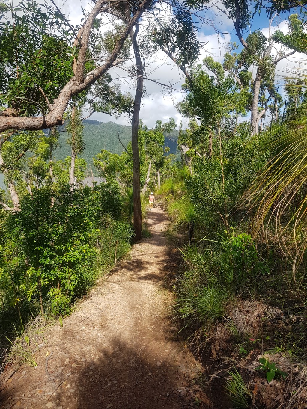 Conway Conservation Park | Mount Rooper QLD 4802, Australia | Phone: 0481 820 444