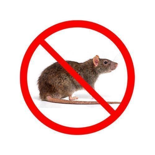 Pest control Unit | 37 Westmelton Dr, Melton West VIC 3337, Australia | Phone: 0430 124 748