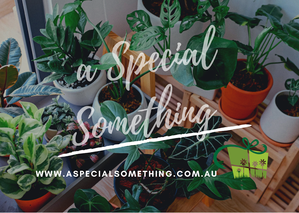 A Special Something | 46 Palm St, Kenmore QLD 4069, Australia | Phone: 0422 499 104