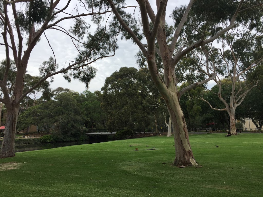 Simpson Lawn | Bundoora VIC 3083, Australia