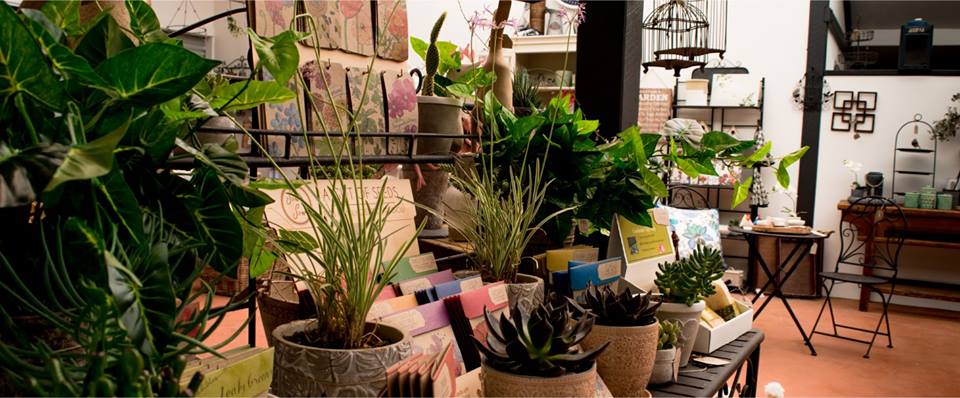 Willy Wagtail Homewares | store | 19 Lindsays Rd, Boambee NSW 2450, Australia | 0417100444 OR +61 417 100 444