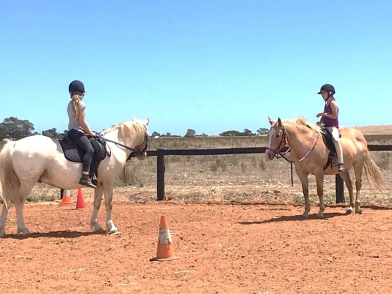 Alba View Equestrian | 623 Parkers Rd, Ward Belt SA 5118, Australia | Phone: 0407 803 004