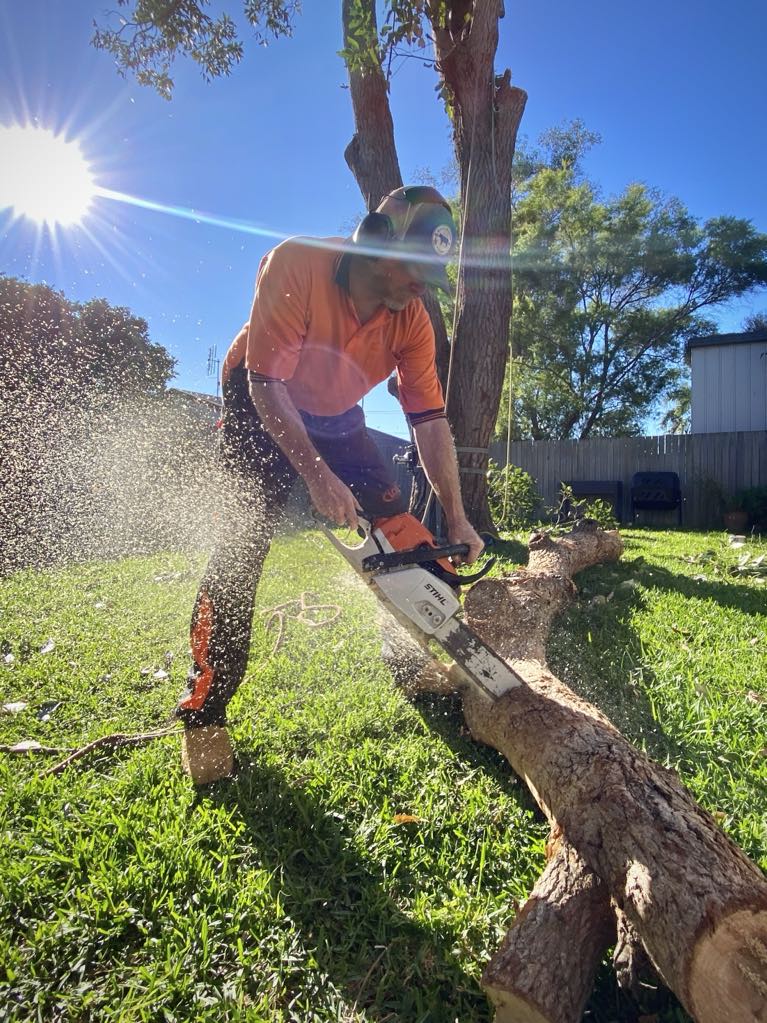 Urban Tree Care | Kula Rd, Medowie NSW 2318, Australia | Phone: 0435 502 951
