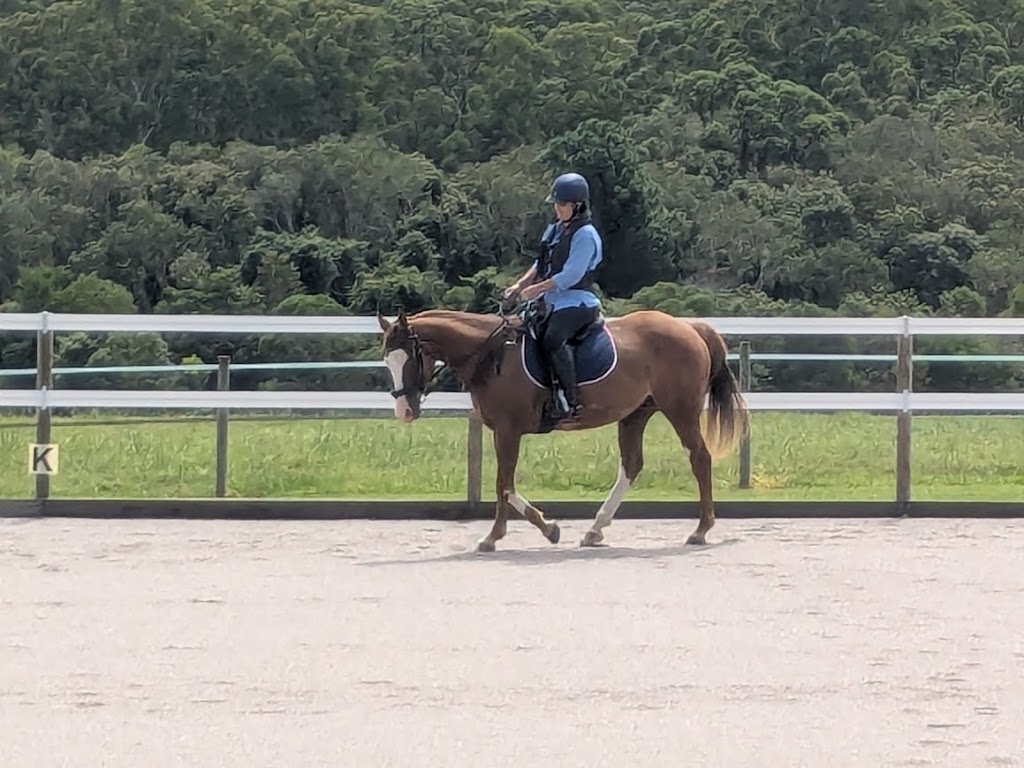 Mountain View Equestrian Centre | 475 Raaen Rd, Bracalba QLD 4512, Australia | Phone: 0468 585 529