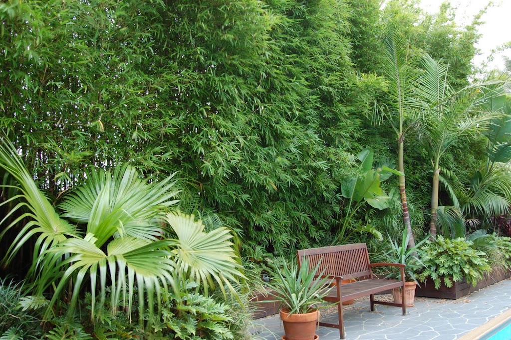 SONAS GARDENS | 13 Sophia Grove, Tecoma VIC 3160, Australia | Phone: 0424 302 360