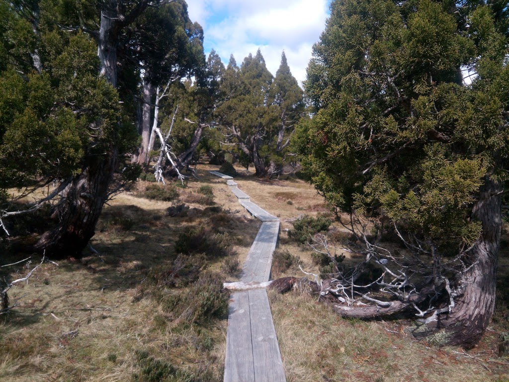 Walls of Jerusalem National Park | park | Walls of Jerusalem TAS 7304, Australia