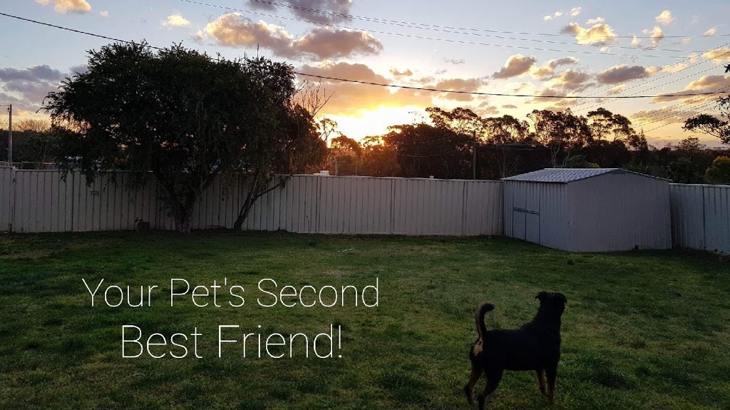 S & N Pet Services | bakery | Emerald Court, Colo Vale NSW 2575, Australia | 0413461966 OR +61 413 461 966