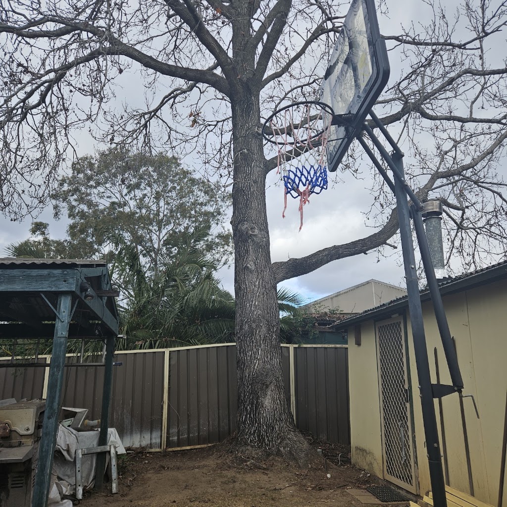 Impact Tree Services | 69 Koloona Dr, Emu Plains NSW 2750, Australia | Phone: 0437 783 388
