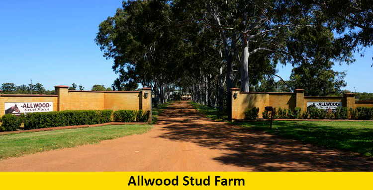 Allwood Stud Farm | 2199 Great Northern Hwy, Bullsbrook WA 6084, Australia | Phone: (08) 9571 3999