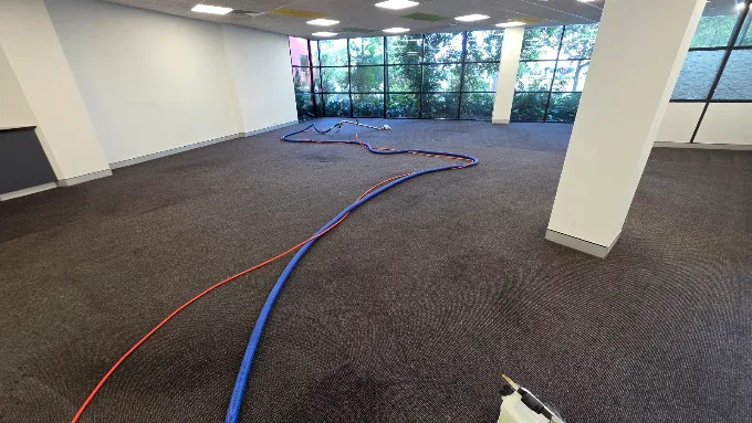 Protection plus+ Couch & carpet deep cleaning | 112 James St, Templestowe VIC 3106, Australia | Phone: (03) 7057 1892