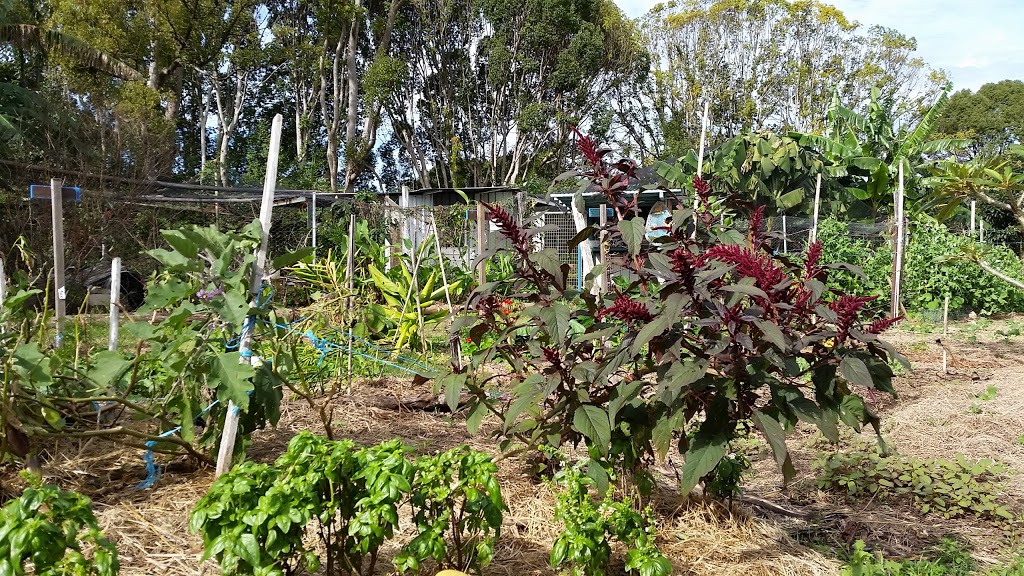 Mullumbimby Community Garden | Stuart St, Mullumbimby NSW 2482, Australia