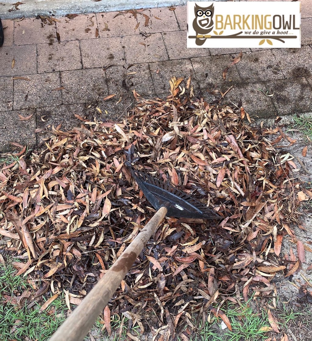 Barking Owl Property Maintenance | 60 Dean Parade, Lemon Tree Passage NSW 2319, Australia | Phone: 0404 789 284